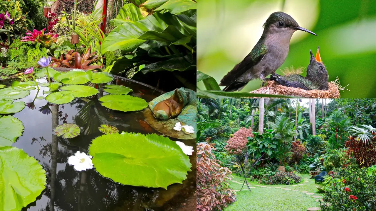 Hunte’s Gardens