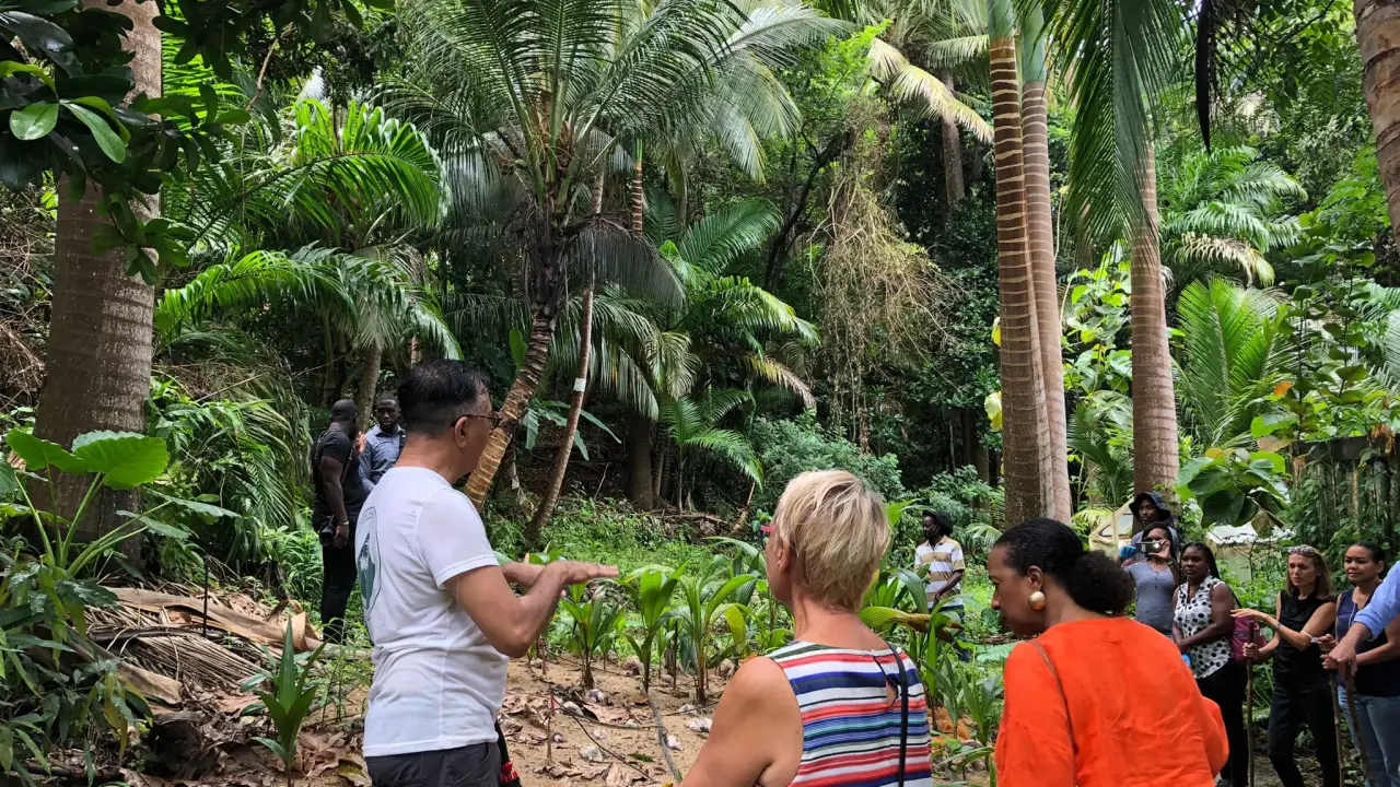 Coco hill forest Barbados nature walks and hiking trails