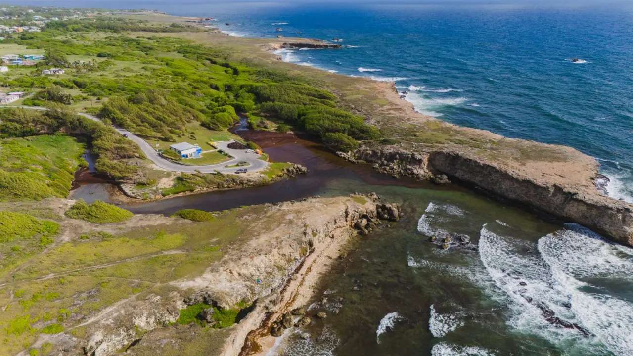 Historic Amerindian Trail Hike (River Bay to Archer's Bay)