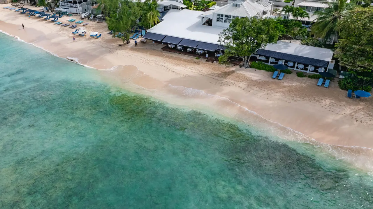 Indulging in Platinum Coast’s Finest Culinary Hotspots