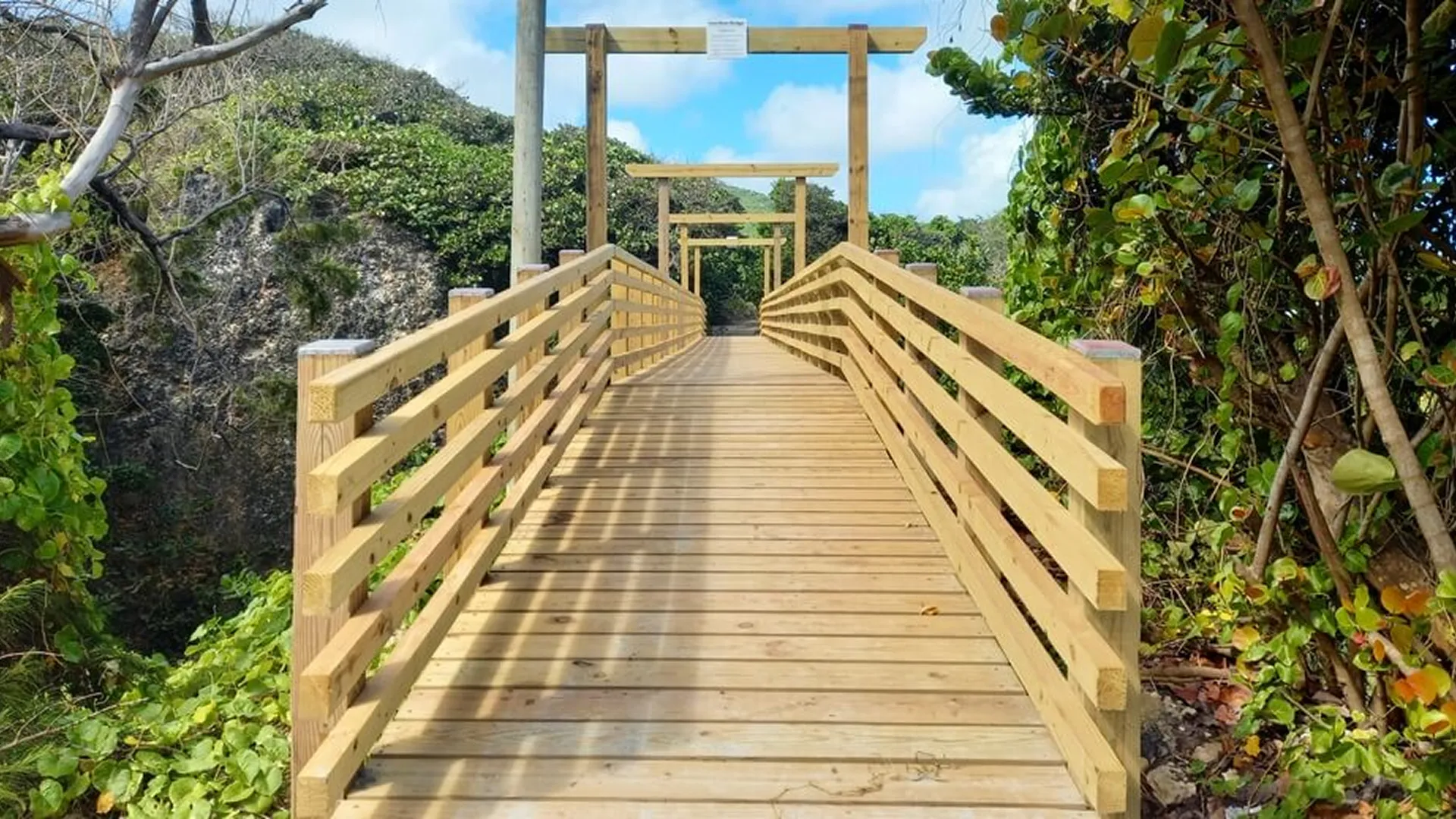 Top Barbados Nature Walks_ A Guide to Scenic Trails
